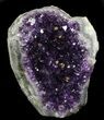 Dark Purple Amethyst Cut Base Cluster - Uruguay #36638-1